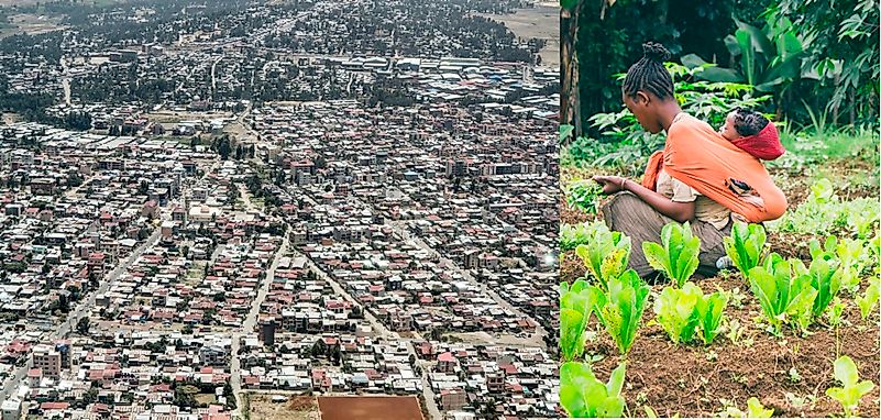 The Economy Of Ethiopia