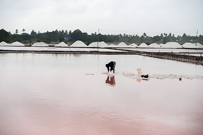 What Are The Biggest Industries In Tanzania?