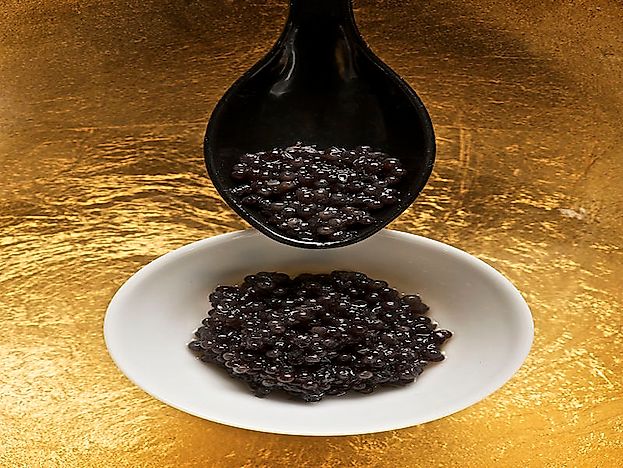 The Illegal Caviar Trade - Countries Most Involved