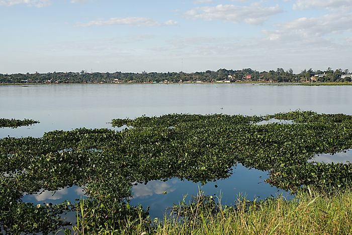 Where Does The Paraná River River Start And End?
