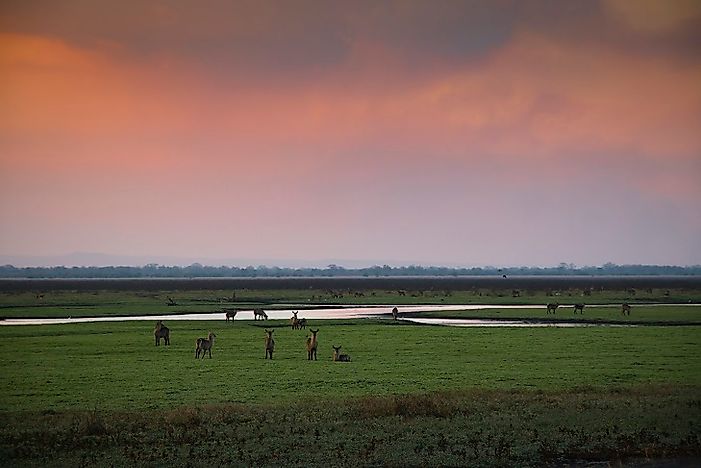 National Parks And Reserves In Mozambique