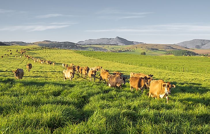 Countries Where Men Are Most Likely To Work On Farms