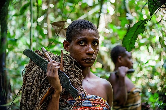What Is The Ethnic Composition Of The Central African Republic?