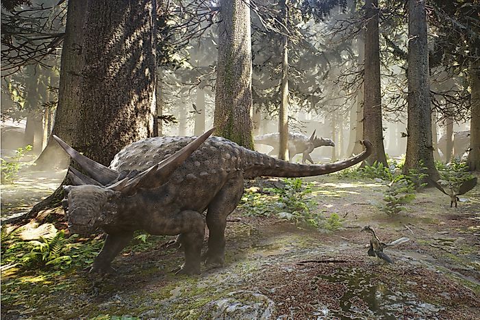 Ankylosaurus had two rows of spikes from head to tail, two hefty horns, and an enormous club like tail.
