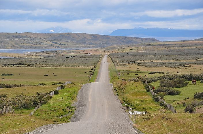 Grasslands - Ecosystems Of The Earth