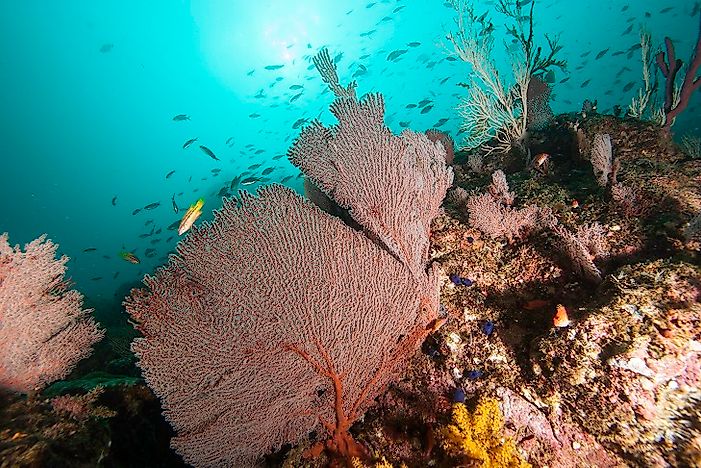 Coiba Island - Uniqe Places Of Panama