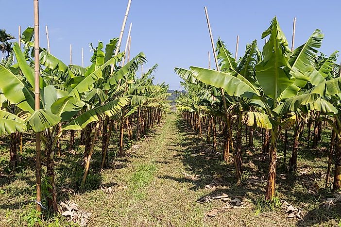 #1 Environmental Threats and Territorial Disputes