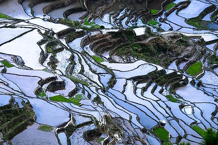 #12 Banaue Rice Terraces