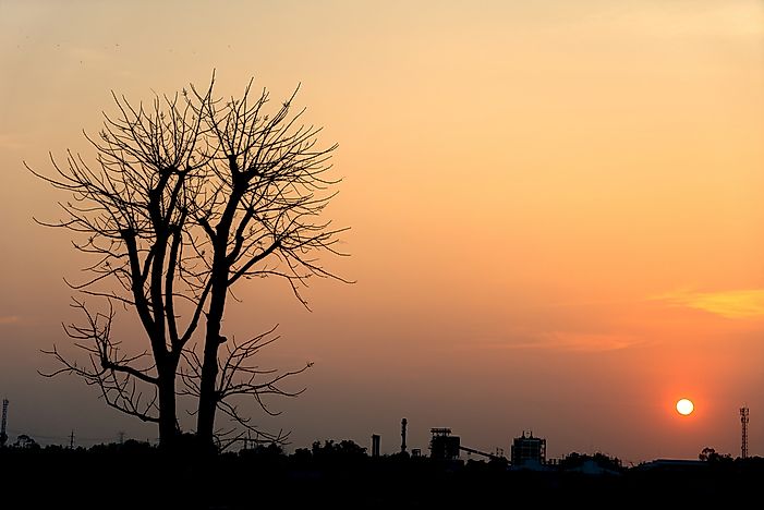 Rising Sea Levels, Dying Trees the Norm With Climate Change
