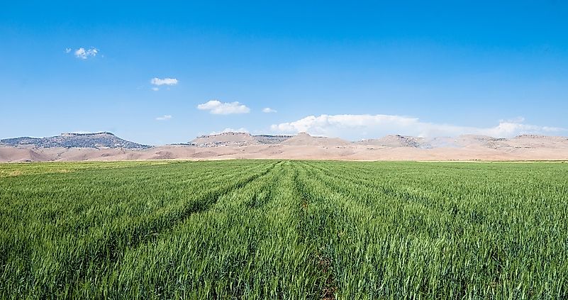 What Is The Fertile Crescent?