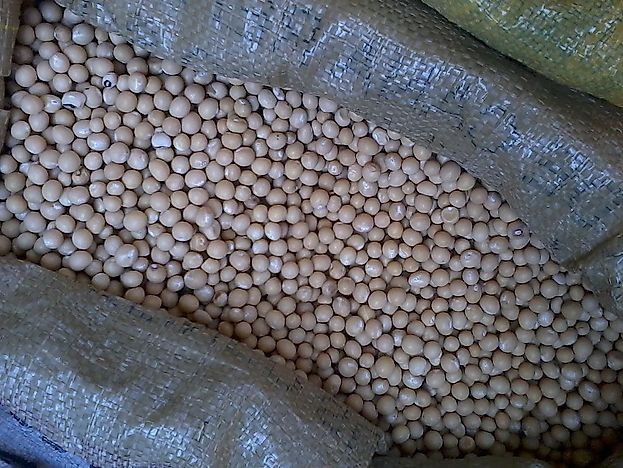 Top Bambara-bean Producing Countries In The World