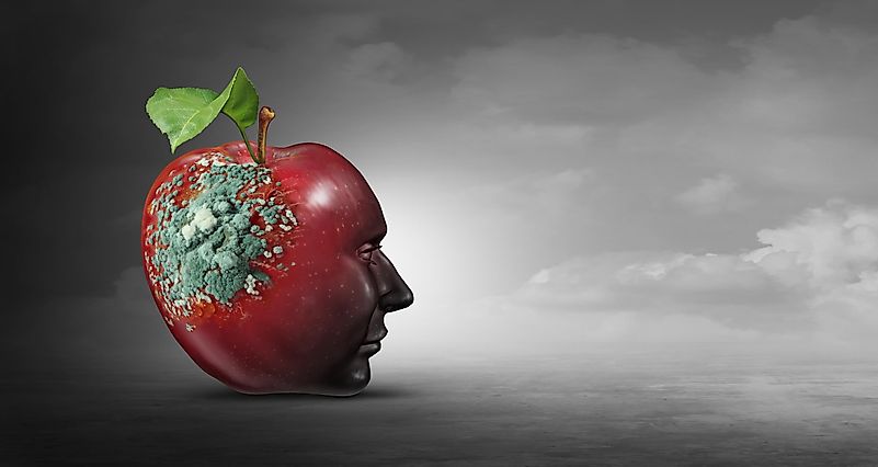 What Was The Eugenics Movement?