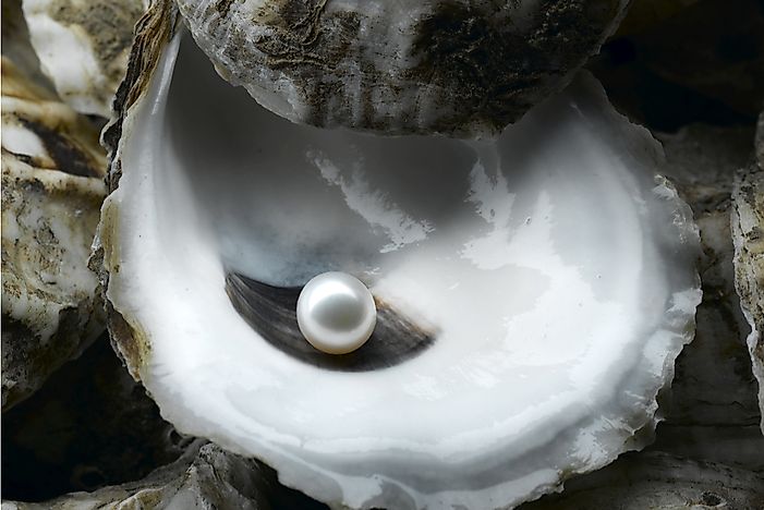 How are Pearls Formed?