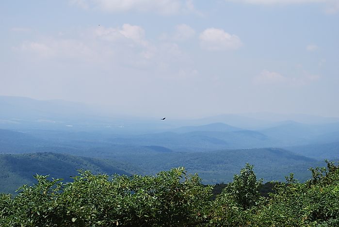 What is the Tallest Hill in the World?