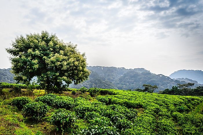 The Three Spectacular National Parks Of Rwanda