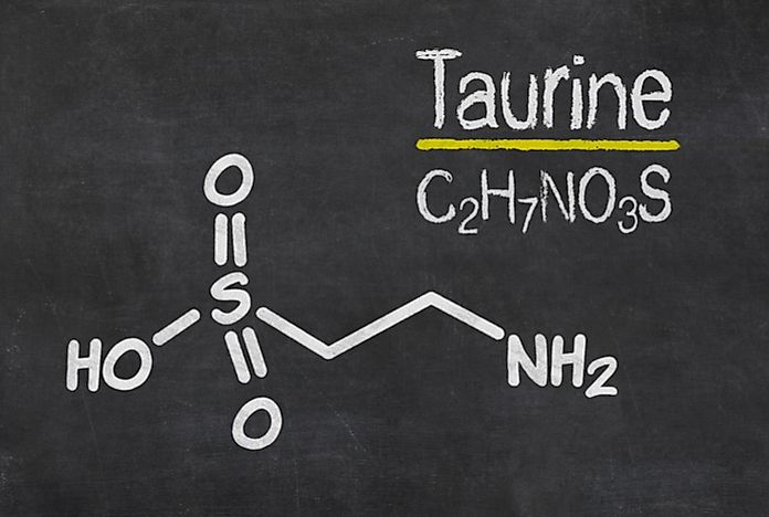 where does taurine come from where does taurine come from