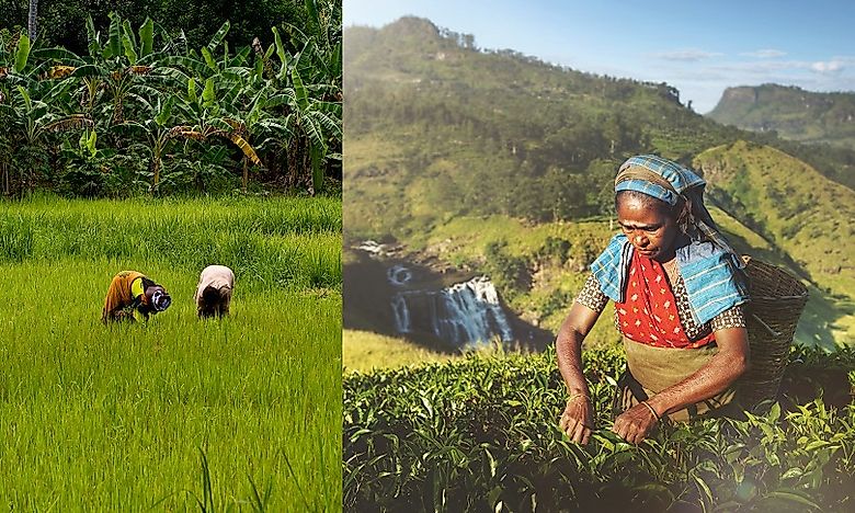 Countries Where Women Are Most Likely To Work On Farms