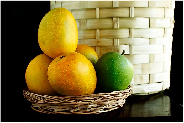 A List Of Important Mango Cultivars And The Countries From Where They Come