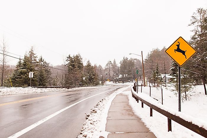#6 Route 20 - United States