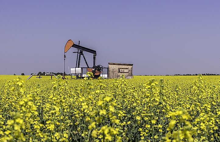What Are The Biggest Industries in Texas?