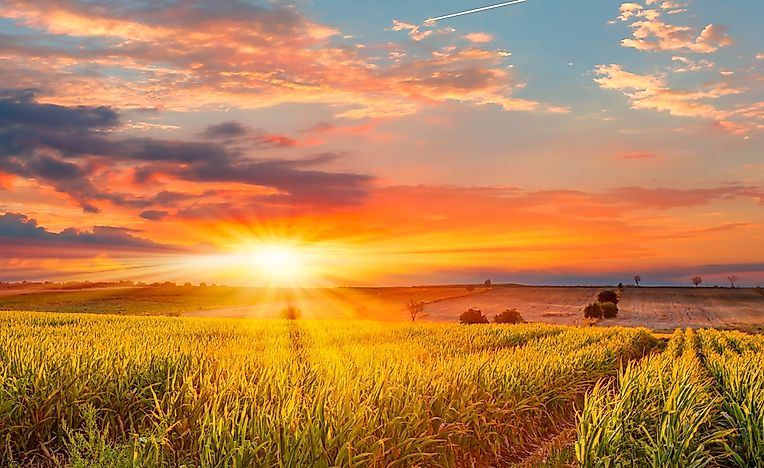 What is a Humid Continental Climate?