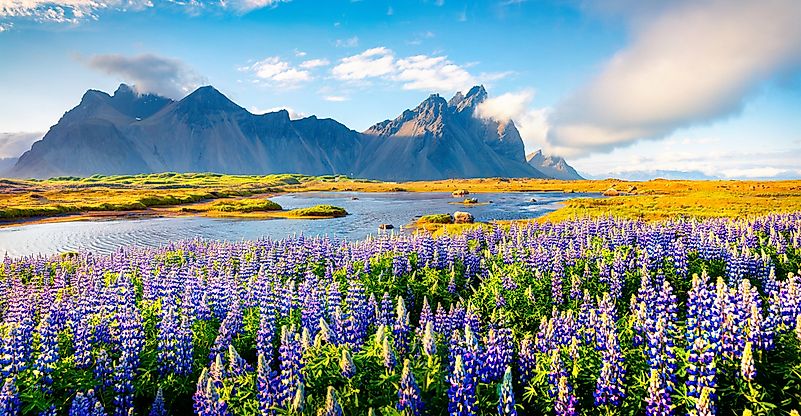 Why is Iceland Green and Greenland Ice?