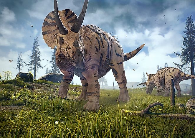 How Many Types of Dinosaurs Are There?