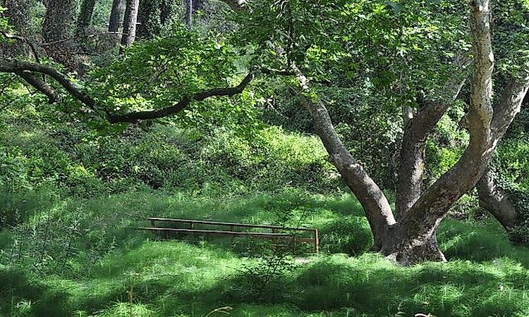 #9 Parnitha National Park -