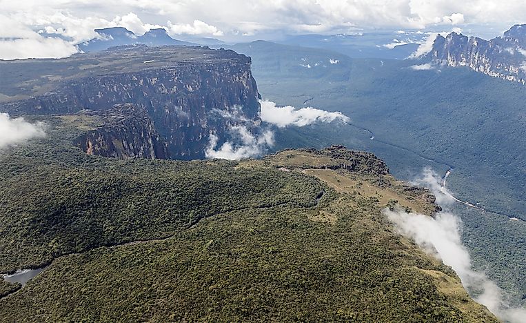 10 Animals That Live in Venezuela
