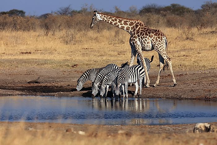 #5 Gonarezhou National Park
