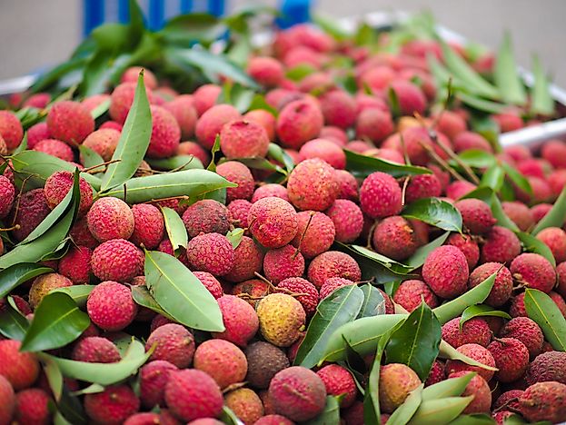 Top Lychee Producing Countries in the World