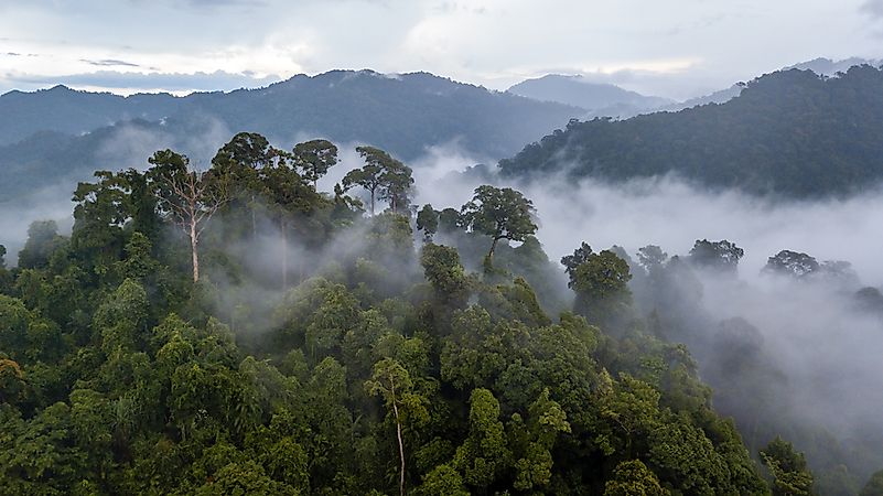 Uncontacted People of the World