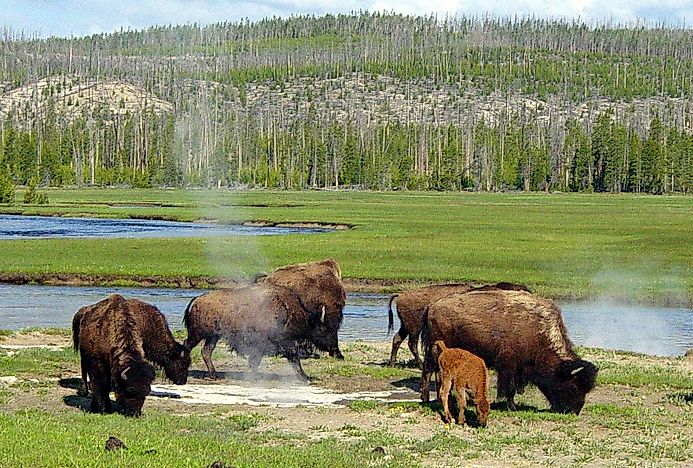 Oldest National Parks In The United States