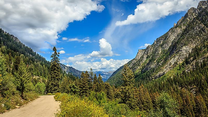 US National Forests Of Idaho