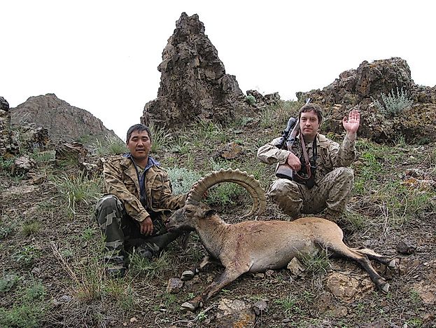 Top Animal Species Imported By The US As Trophies
