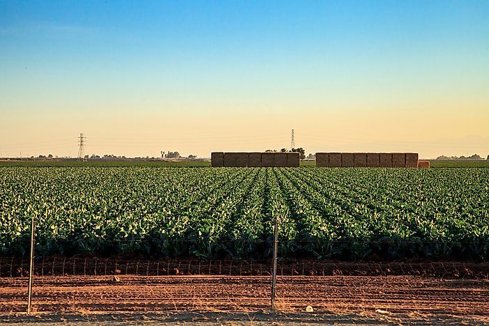 What Are The Major Natural Resources Of Mexico?