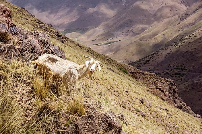 #9 Toubkal National Park
