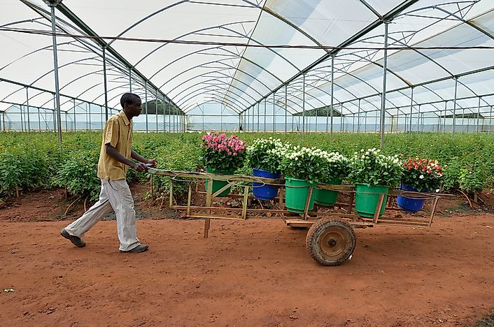 What Are The Biggest Industries In Zambia?