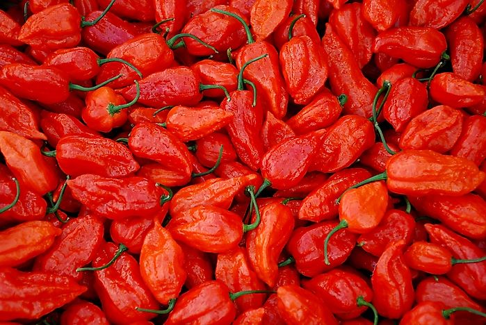 The Hottest Peppers in the World