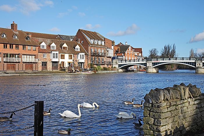 What Is Swan Upping?