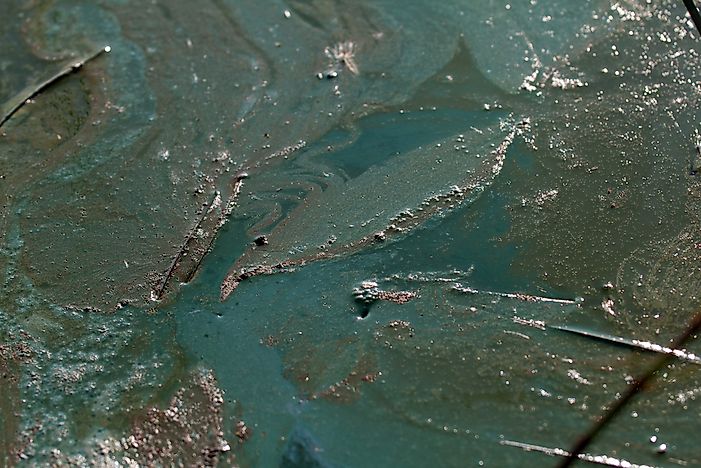What Is an Ocean Dead Zone?