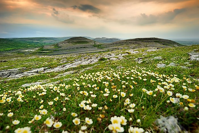 #5 The Burren