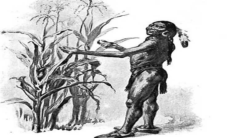 #2 Wampanoag Tribe Clothing -