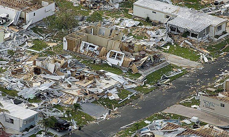 #2 Category 4 -