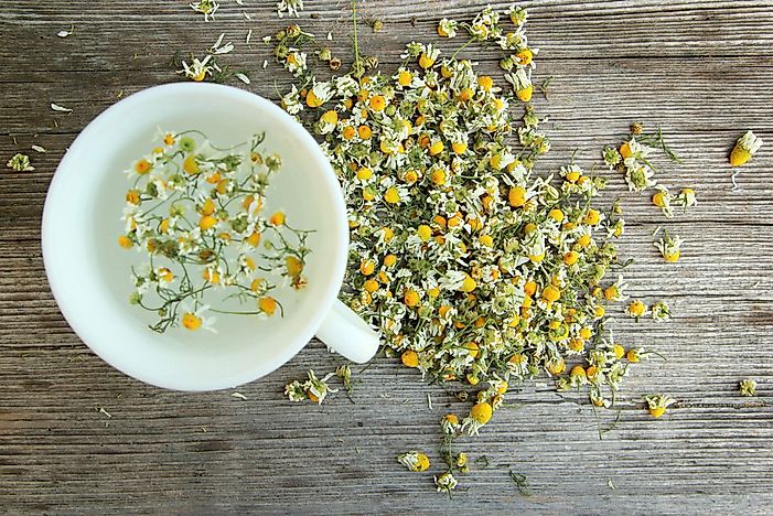 #6 Herbal Tea