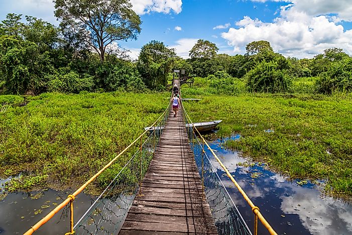 #9 The Pantanal