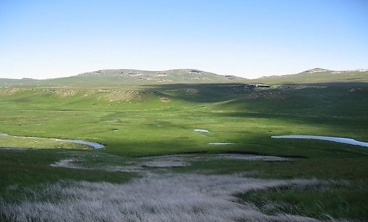 #2 Habitats and Biodiversity -