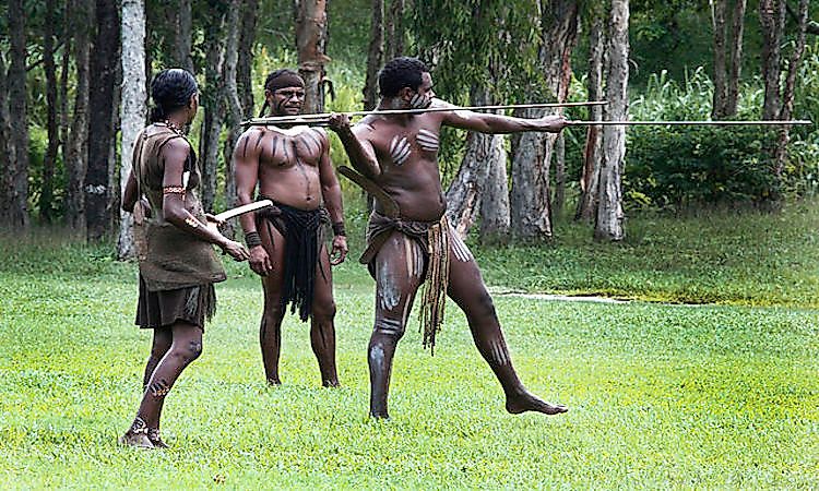 #8 Northern Territory -