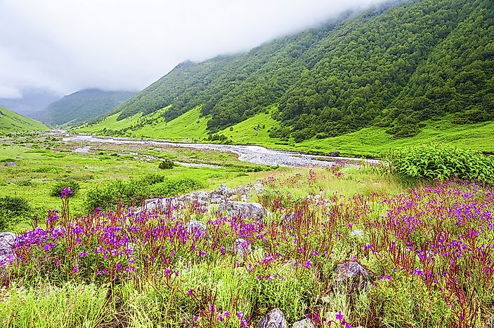 #9 Valley of Flowers, Uttarakhand