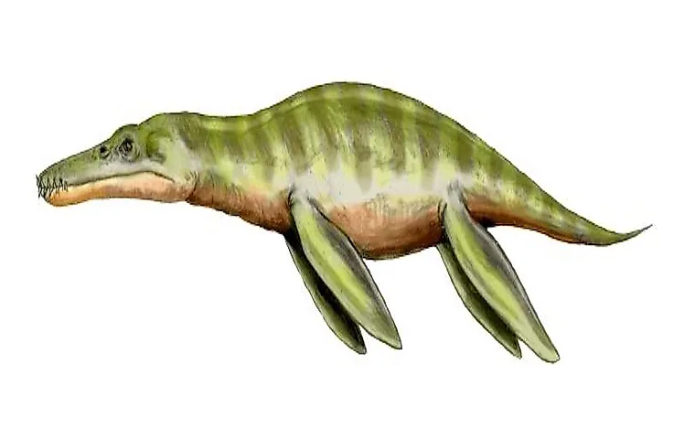 #6 Liopleurodon